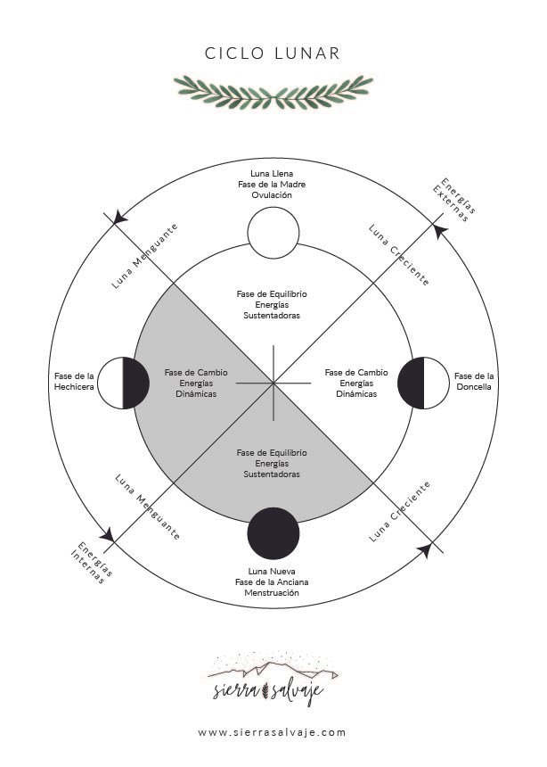 Diagrama que muestra la relación entre las fases de la luna y las fases del ciclo menstrual femenino